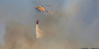 incendio forestal palencia