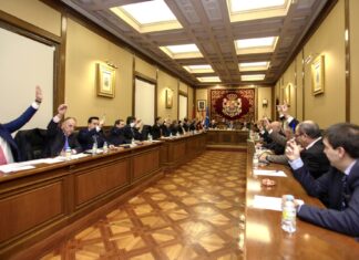 pleno diputación avila caos