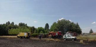 Incendio vivero forestal Velilla