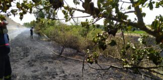 incendio ampudia palencia