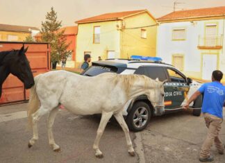 desalojo en Guadapero y Morasverdes, Salamanca, por el incendio de Monsagro - Jose Vicente ICAL
