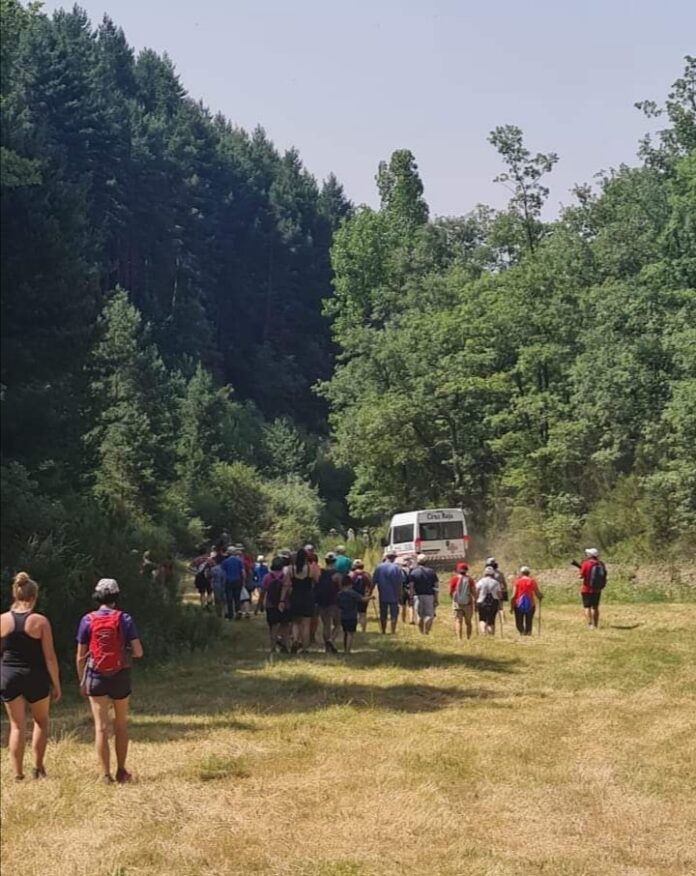 hoya Guardo hoya Guardo