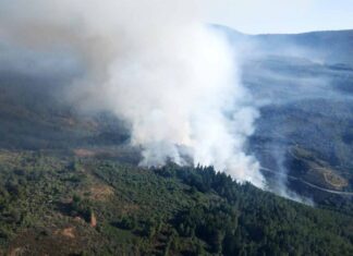 incendio villanueva del conde salamanca 9 julio 2022 AGENCIA ICAL