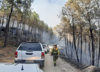 Incendio en Santa Cruz del Valle