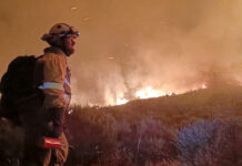incendios Palencia