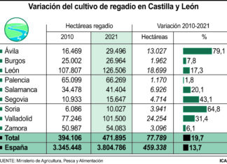 agricultura regadío