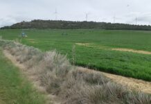 Imagen de archivo: Zona modernizada de regadío en el Canal del Pisuerga, entre Villodre y Boadilla del Camino.