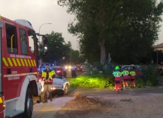 Un árbol destroza tres coches que estaban aparcados al caer sobre la calzada en Palencia Tormenta troncha arboles