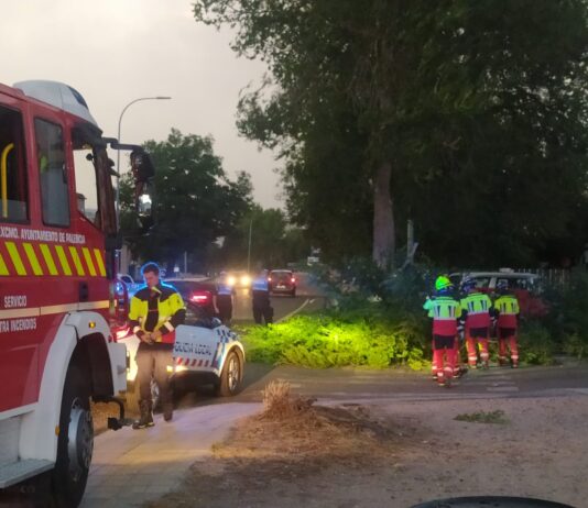 Tormenta troncha arboles