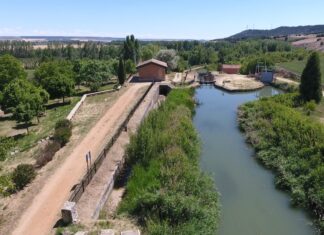 El Grupo Fundación San Cebrián celebra el 1 de octubre la XIII Marcha Inclusiva por el Canal de Castilla bajo el lema ‘Tú sumas’