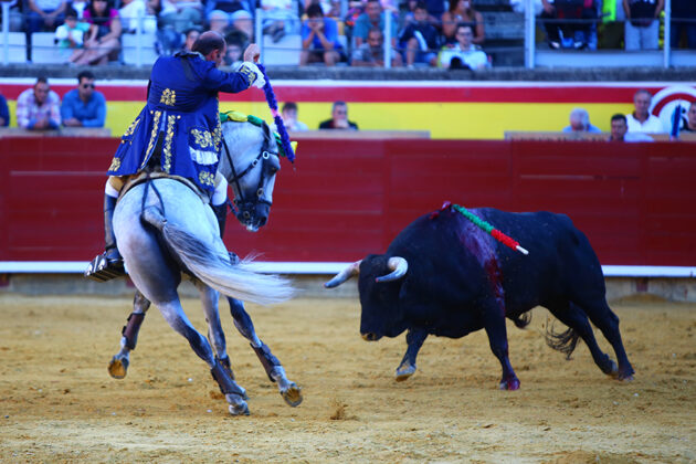 Corrida Rejones San Antol&iacute;n Palencia 4 sep (22)