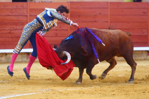 Corrida de Toros en Palencia - San Antol&iacute;n 2022 2 de septiembre