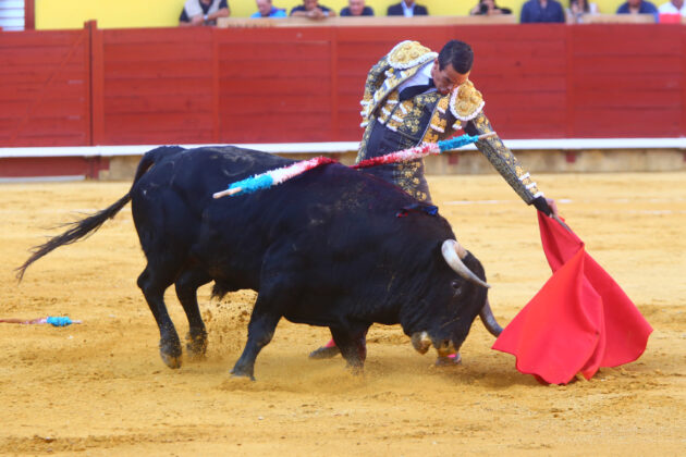 Corrida de Toros en Palencia - San Antol&iacute;n 2022 2 de septiembre