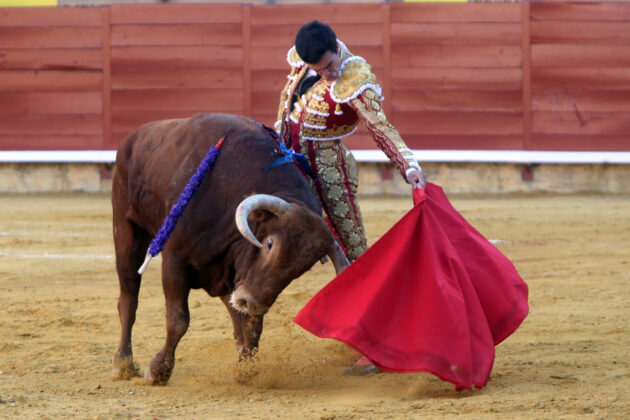 Corrida de Toros en Palencia - San Antol&iacute;n 2022 2 de septiembre