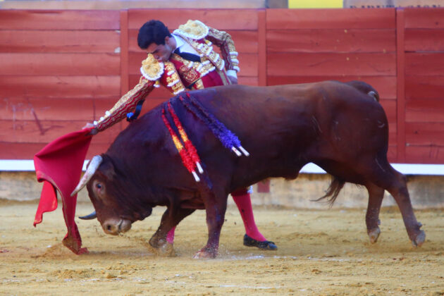 Corrida de Toros en Palencia - San Antol&iacute;n 2022 2 de septiembre