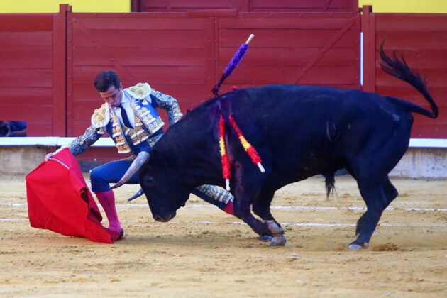 Corrida de Toros en Palencia - San Antol&iacute;n 2022 2 de septiembre