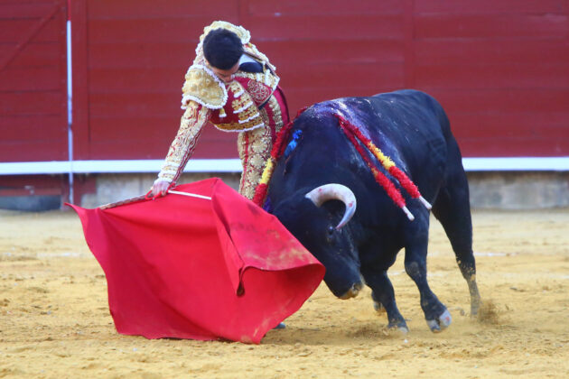 Corrida de Toros en Palencia - San Antol&iacute;n 2022 2 de septiembre