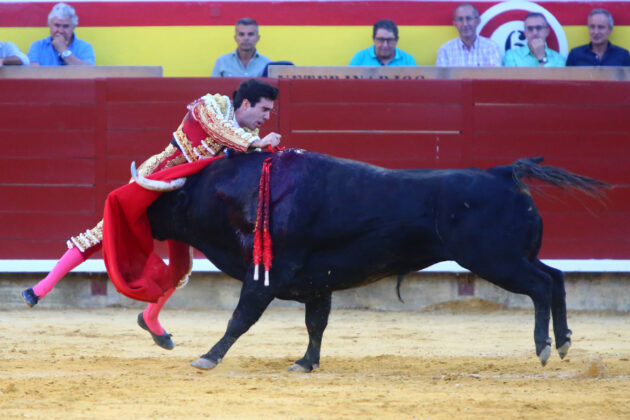 Corrida de Toros en Palencia - San Antol&iacute;n 2022 2 de septiembre