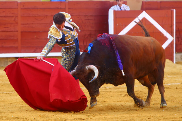 Corrida de Toros en Palencia - San Antol&iacute;n 2022 2 de septiembre