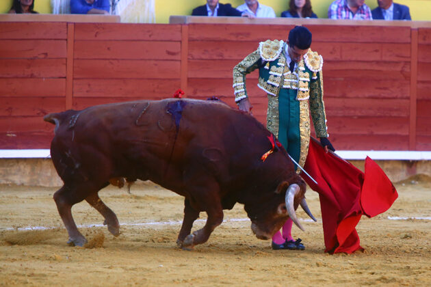 Toros en Palencia San Antol&iacute;n 3 septiembre 2022