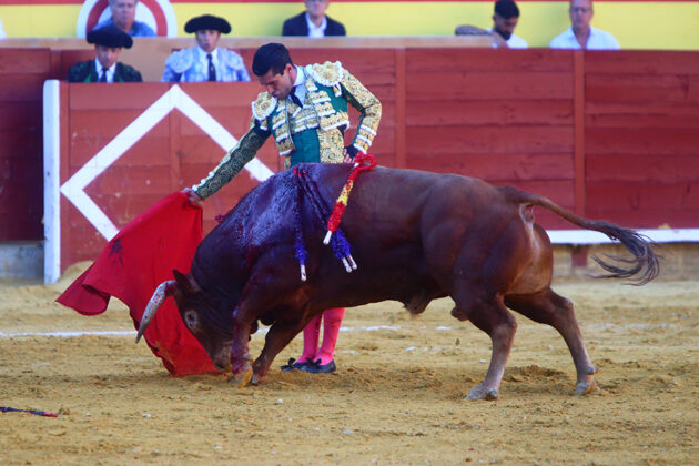 Toros en Palencia San Antol&iacute;n 3 septiembre 2022