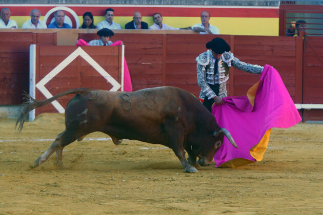 Toros en Palencia San Antol&iacute;n 3 septiembre 2022