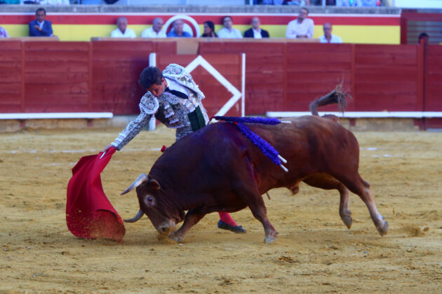 Toros en Palencia San Antol&iacute;n 3 septiembre 2022