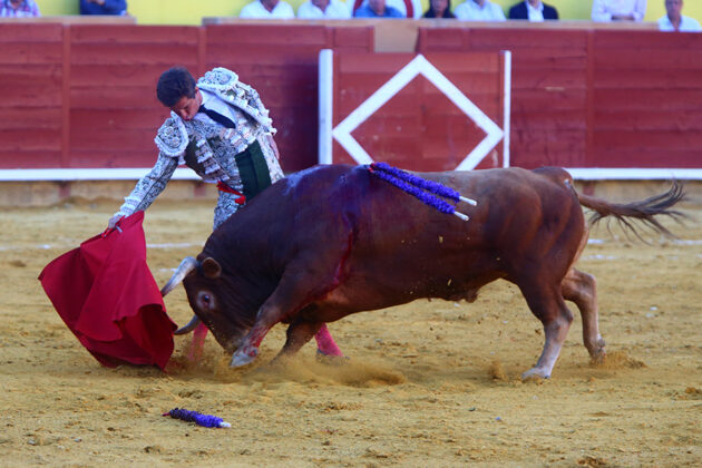 Toros en Palencia San Antol&iacute;n 3 septiembre 2022