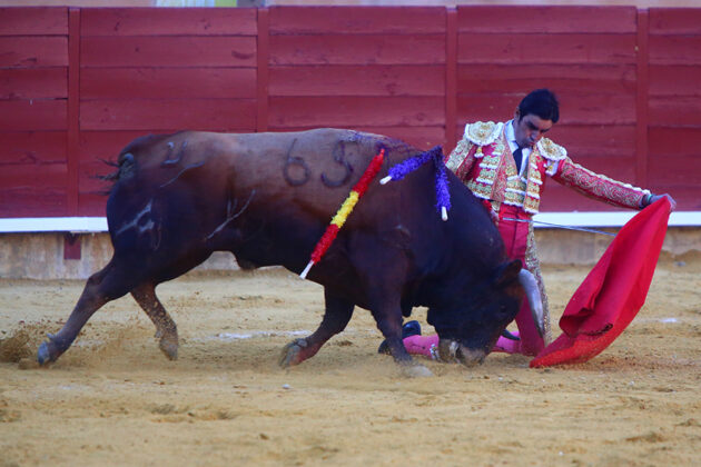 Toros en Palencia San Antol&iacute;n 3 septiembre 2022