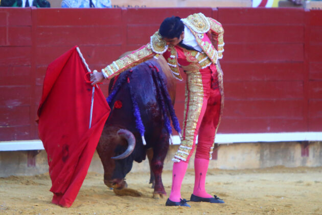 Toros en Palencia San Antol&iacute;n 3 septiembre 2022