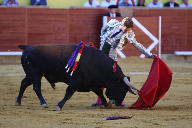 Toros en Palencia San Antol&iacute;n 3 septiembre 2022