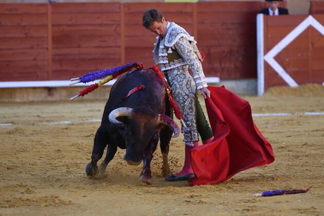 Toros en Palencia San Antol&iacute;n 3 septiembre 2022