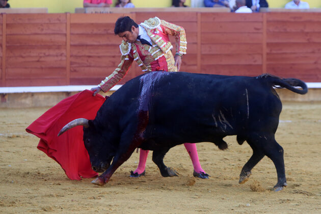 Toros en Palencia San Antol&iacute;n 3 septiembre 2022