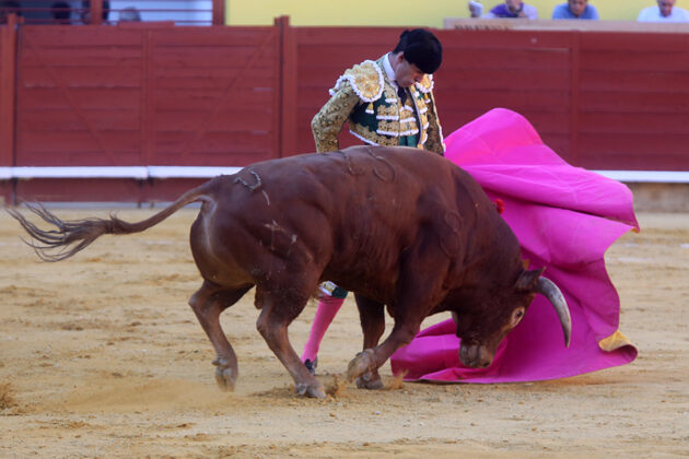 Toros en Palencia San Antol&iacute;n 3 septiembre 2022