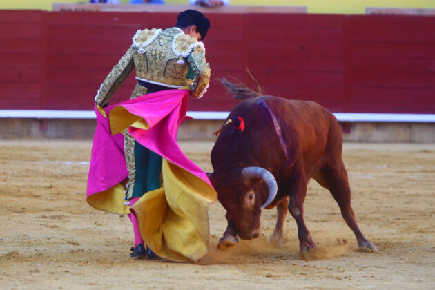 Toros en Palencia San Antol&iacute;n 3 septiembre 2022