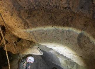 Hallan en una sima a 33 metros de profundidad, los restos de la osa despeñada y dos crías desaparecidas en junio