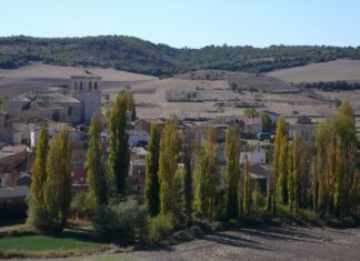 15 y 16 de octubre en El Cerrato: XXXVII edición del Día de la Provincia