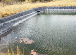 Advierten del peligro para la fauna y las personas de una balsa en Ledigos