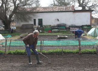 Unidas Podemos Palencia valora los PGE “conseguidos” por su formación Unidas Podemos Palencia valora los PGE conseguidos por su formación