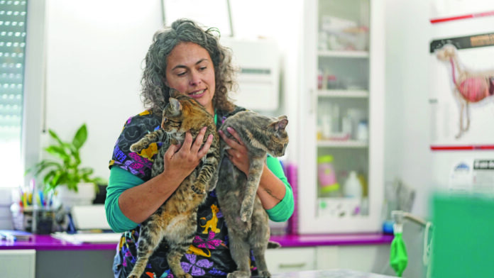 animal friends (1) animal friends