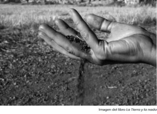 cultura programa Junta Palencia