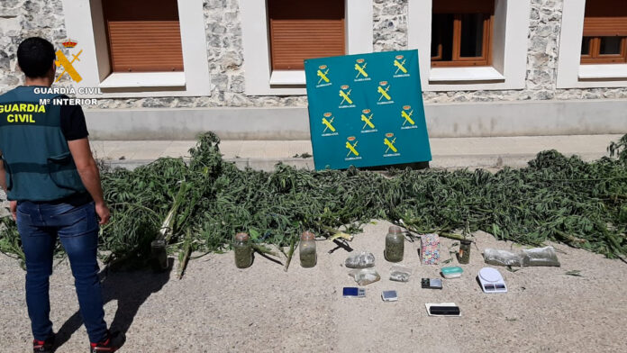 op_holliday_IX_palencia_editada4