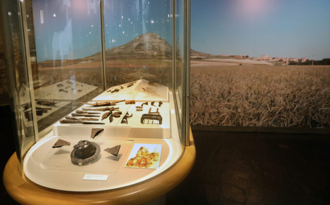 Museo de Palencia / Br&aacute;gimo (ICAL)