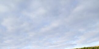 Excarcelan-un-hombre-atrapado-tras-vuelco-turismo-Baltanás