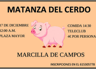 MATANZA CARTEL Marcilla