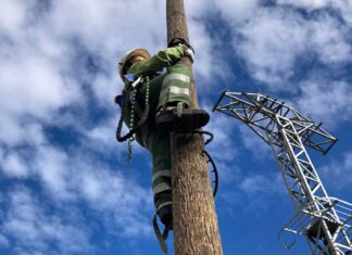 la joven palentina Irene Cañibano trabajando en el tendido eléctrico