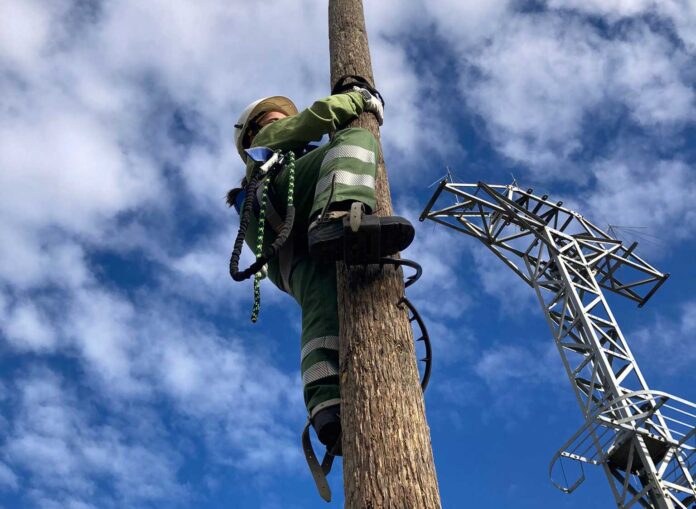 la-joven-palentina-Irene-Cañibano-trabajando-en-el-tendido-eléctrico la joven palentina Irene Cañibano trabajando en el tendido eléctrico