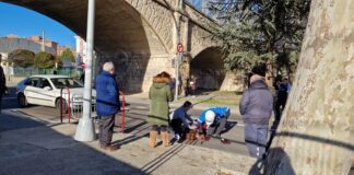 Atropellada-una-mujer-87-años-bajo-la-pasarela-de-Villalobón-de-Palencia