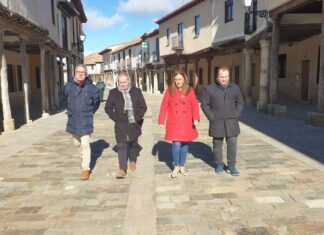 La delegada del Gobierno visita Ampudia para conocer su proyecto de alumbrado eficiente e inteligente Virginia Barcones visita Ampudia para conocer el proyecto de alumbrado eficiente e inteligente que el municipio palentino prevé desarrollar con financiación del DUS 5000