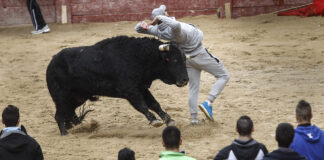 Grave-cornada-en-gemelo-durante-Toro-San-Sebastián-Paredes